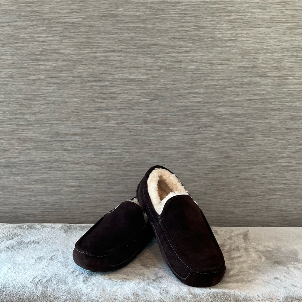 UGG ASCOT